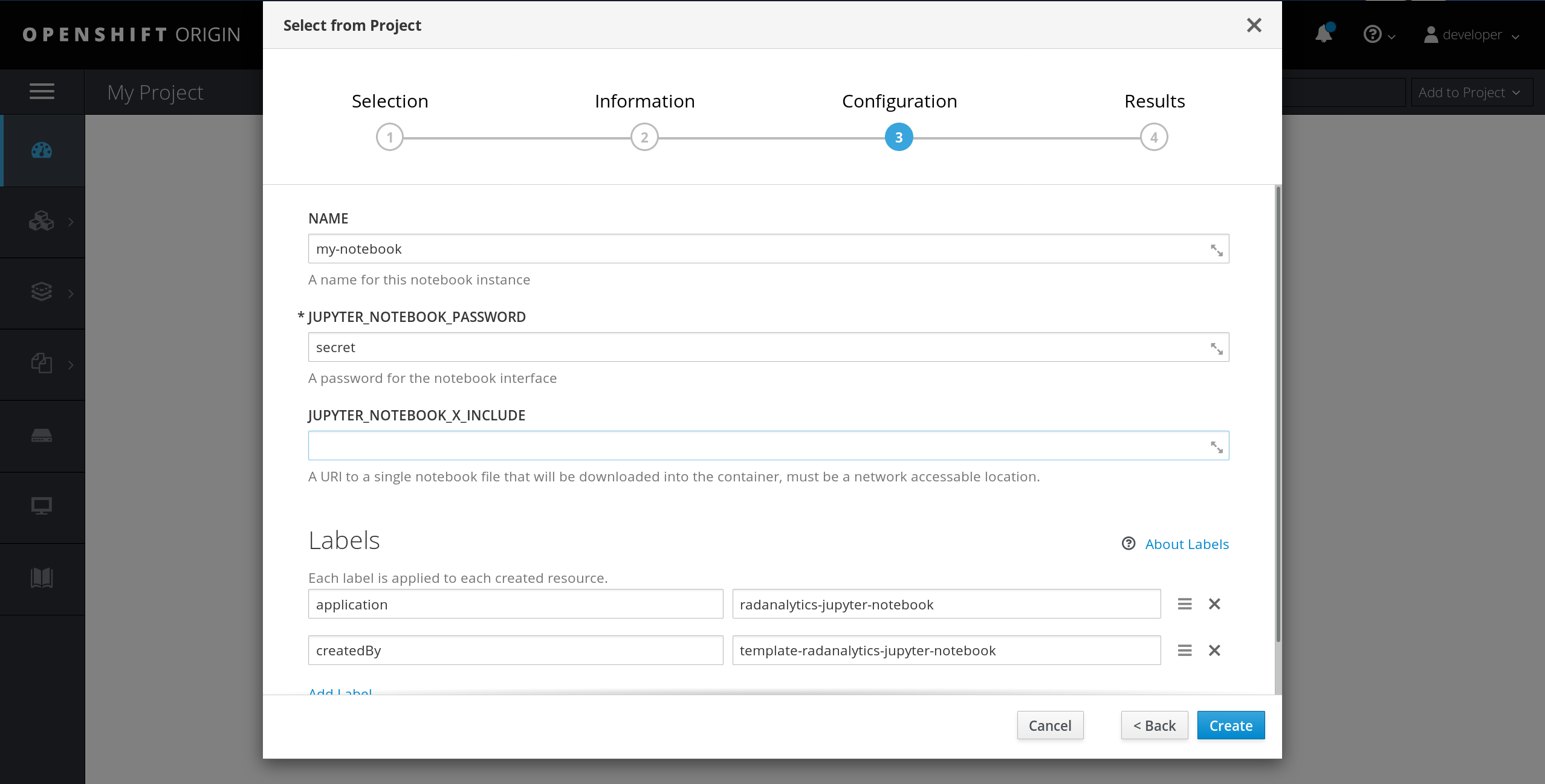 Jupyter options